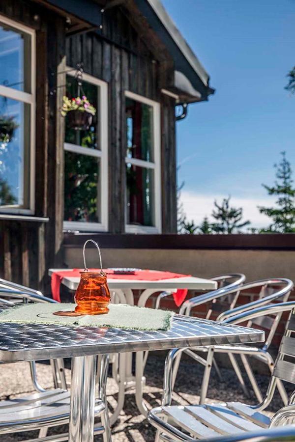 Pension Und Gaststaette Naturbaude Eschenhof Oberwiesenthal Εξωτερικό φωτογραφία