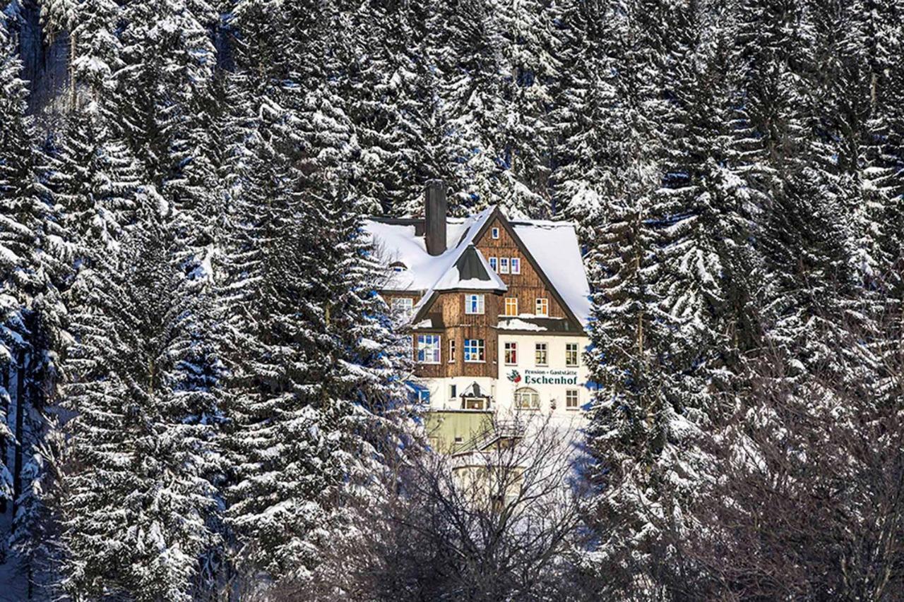 Pension Und Gaststaette Naturbaude Eschenhof Oberwiesenthal Εξωτερικό φωτογραφία